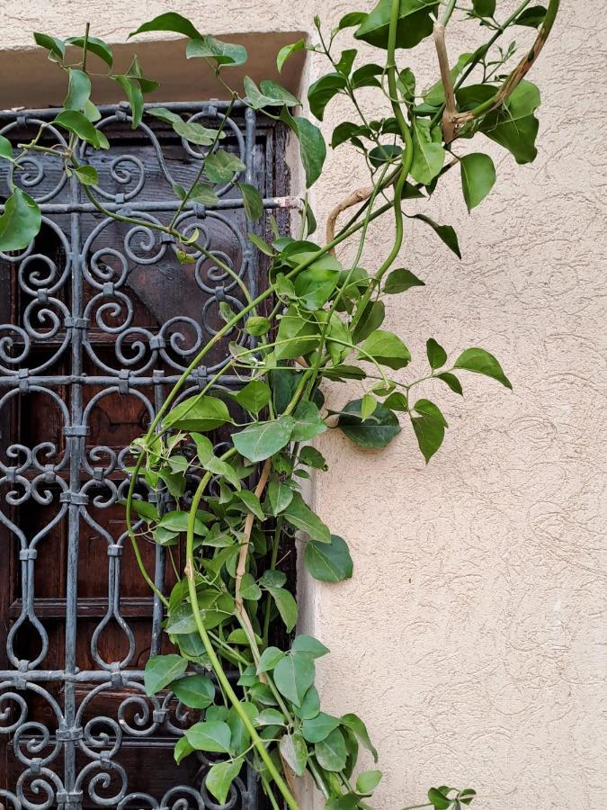 Riad Rime Garden Marrakech Lagouassem Exterior foto